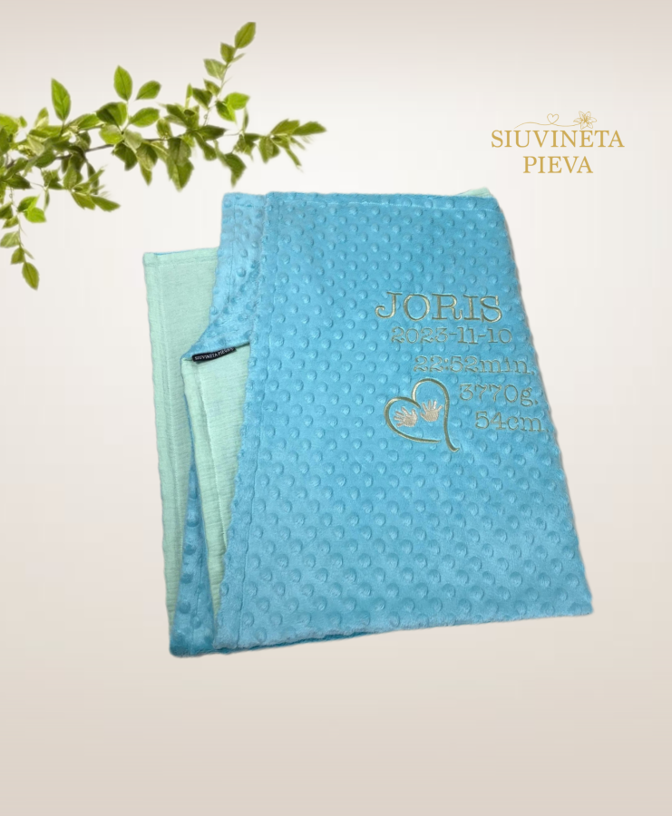 Pledukas berniukui "Mašinytė"